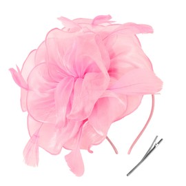 DRESHOW Fascinators Hat Tea Party Headwear Ribbons Feathers on a Headband and a Clip for Girls and Women