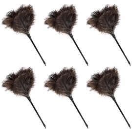 Natural Ostrich Feather Duster 14.9 inch Fluffy Mini Dusters with Plastic Handheld for Cleaning Car Keyboard Office 6 PCS