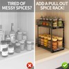 BOIVSHI Spice Rack Organizer for Cabinet, 2 Tier Pull Out