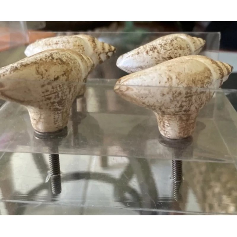 Sanibel Shores Set of 4 Sanibel Shores Ceramic Sea Shell