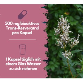 EXVital EXVital? Resveratrol Kapseln, 98% Trans-Resveratrol, 500mg pro Kapsel, 120 vegane Kapseln, vegan & ohne Zus?tze, laborgeprft