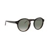Kolo Harrison Premium Italian Sunglasses, Classic Round Style, Dark Tortoise