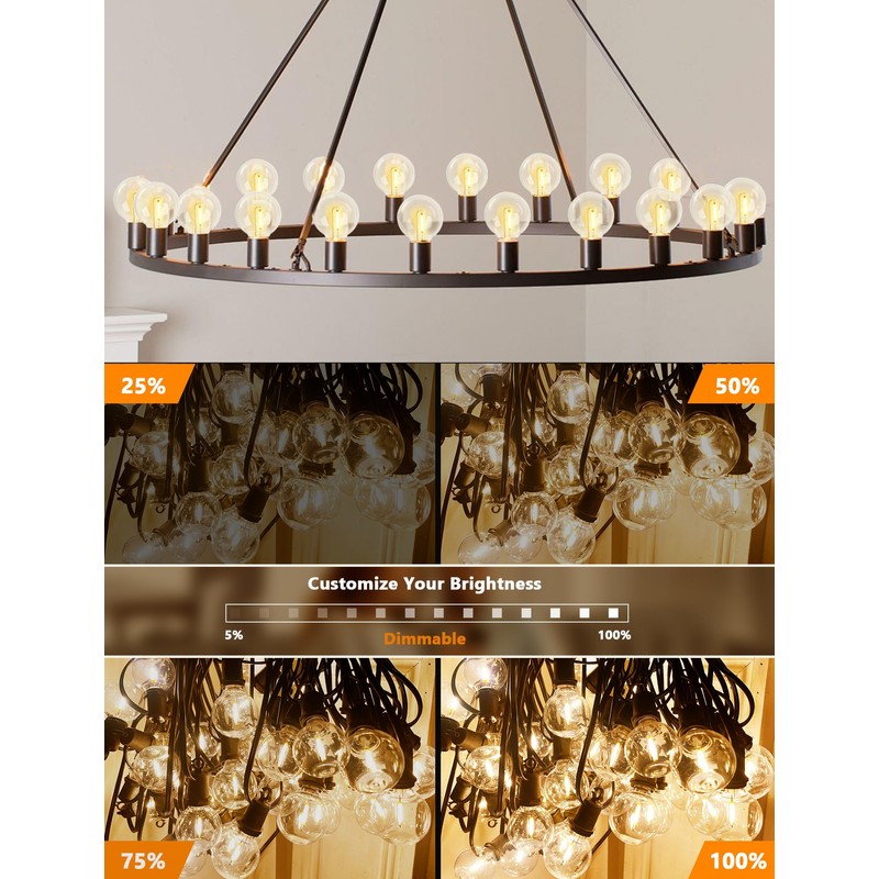 G40 Edison Clear Replacement Bulbs, 0.6W Shatterproof Light Bulbs for