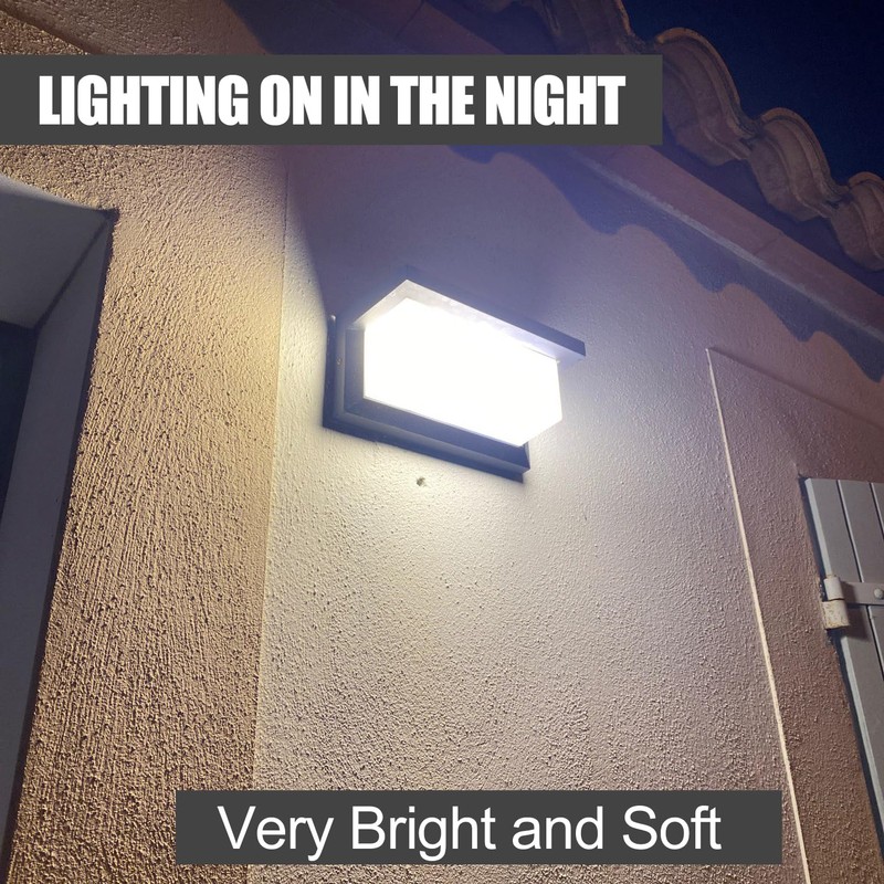 Sytmhoe 5000K Daylight White Outdoor Wall Sconce Lights, LED Exterior