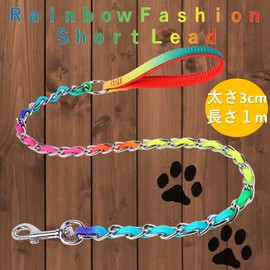 heizi Chain Lead, Rainbow Lead, 3.3 ft (1 m), Cute, Rainbow Chain, Metal, Fashion Lead, Walk, Short Lead, Chain (3.3 ft (1 m) Rainbow)
