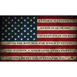 Rogue River Tactical USA Flag Sticker Bumper Car Decal Gift Patriotic American Worn United States Pledge of Allegiance (3x5 Inch)