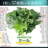 遠赤青汁 V1 