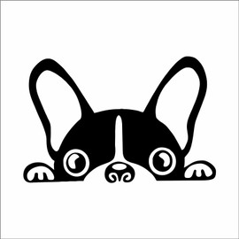AMA SHOP Adesivo Prespaziato cane razza Bulldog Francese mod.3 colore nero | Adesivi per Auto | Sticker per Casco, Moto, Camper | Adesivo in PVC per Decalcomania Vetrofanie Parete, Murale
