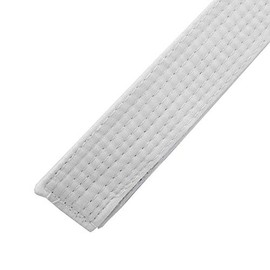Solid Rank Karate Martial Arts and Taekwondo Belts (White, 2)