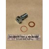 willys Brake Master Cylinder Bolt and Washers fits Willys MB