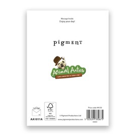 Pigment - Animal Antics - Cheeky Chimp - Birthday Cards for Women - Birthday Cards for Men - SC Certified - Made in the UK - 130 x 176