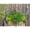 Dehner Rattan Planter, Approx. 30 x 15 x 15 cm,