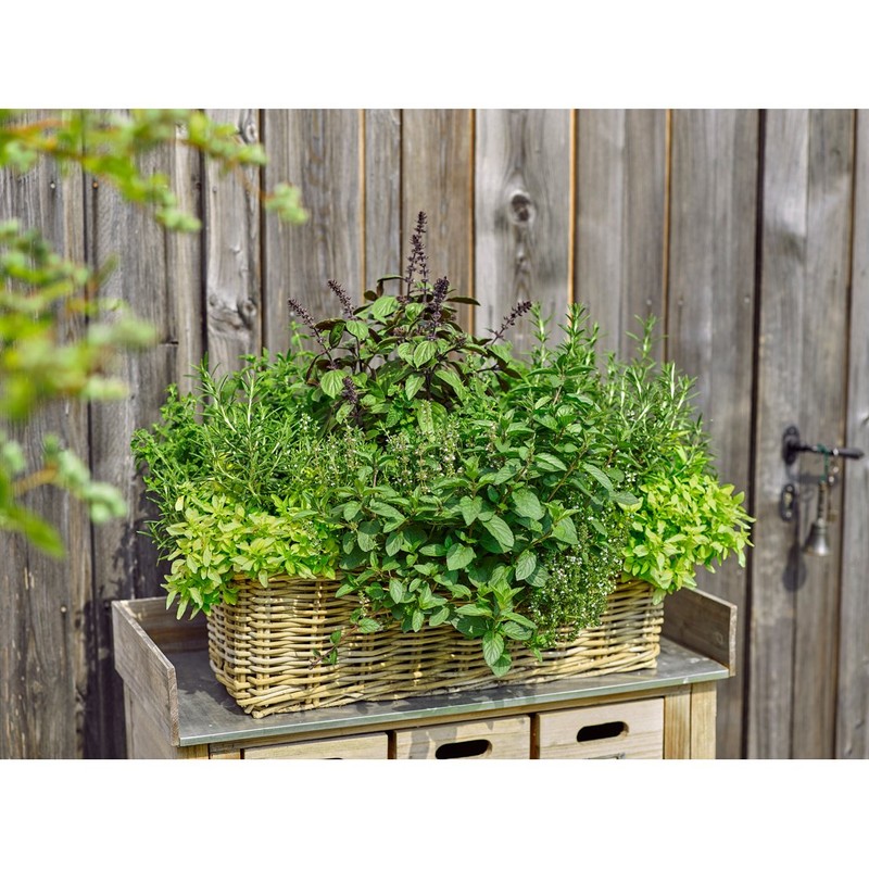 Dehner Rattan Planter, Approx. 30 x 15 x 15 cm,