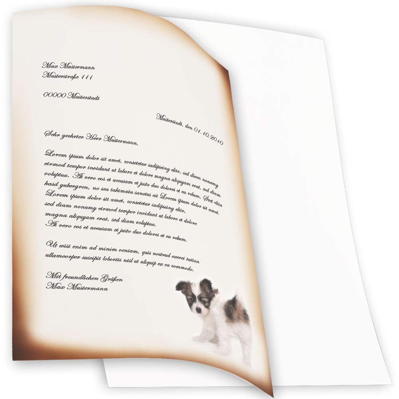 Letter Writing Paper Funny Puppy 50 Sheets DIN A4 90