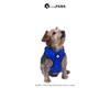 Trendy Paws Small Dog Harness Set (Cobalt, Medium)