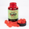 BURN-Gummies -Dietary Supplement - Apple Cider Vinegar and Lactobacillus -