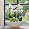 18 Inch Ceramic Bonsai Planter Pot with Drainage Hole, Glazed