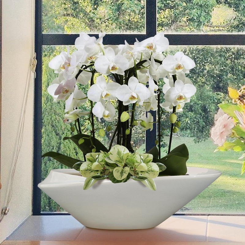 18 Inch Ceramic Bonsai Planter Pot with Drainage Hole, Glazed