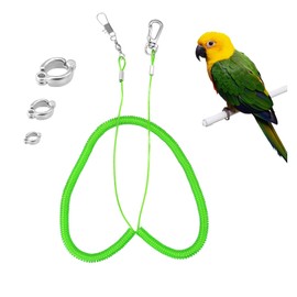Andiker Parrot Flying Rope, 5 Meters Parrot Foot Chain Flying Training Leash Outdoor，Anti-Bite Elastic String Training Harness for Agapornis Fischeri Cockatiels Starling Birds (green)