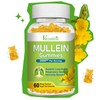 Vazatisi Mullein Gummies, Mullein Leaf Extract with Bromelain, Quercetin, Pine