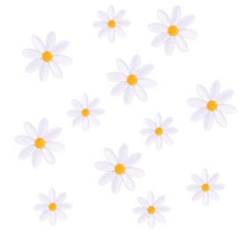 Tinoaly 12Pcs Daisy Flower Iron on Patches, 2 Sizes White Floral Sew on Patches Cute Embroidery Applique for Decoration Clothes Bags Hat Jeans Backpacks Shirts Pants