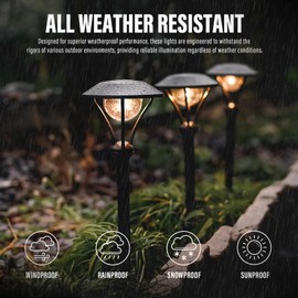 VenusManufacturing Low Voltage Landscape Lighting Outdoor LED Pathway Lights 1W Flood Light Garden Light Celestial for Yard Pathway Driveway 8406-2104-01