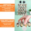 Oungy Pack of 60 Quail Egg Boxes, 12 Grid Quail