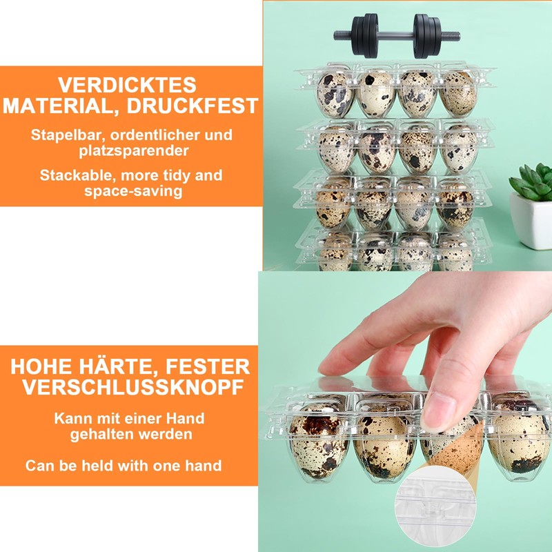 Oungy Pack of 60 Quail Egg Boxes, 12 Grid Quail