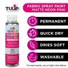 Tulip ColorShot Instant Spray Fabric Color 3oz. Neon Pink