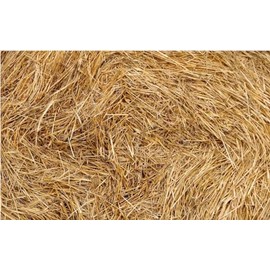 Organic Wheat Straw - 100% Natural Wheat Straw Ideal for Gardening, Decor, Animal Bedding and Eco-Friendly Projects (1, 8 Pounds)