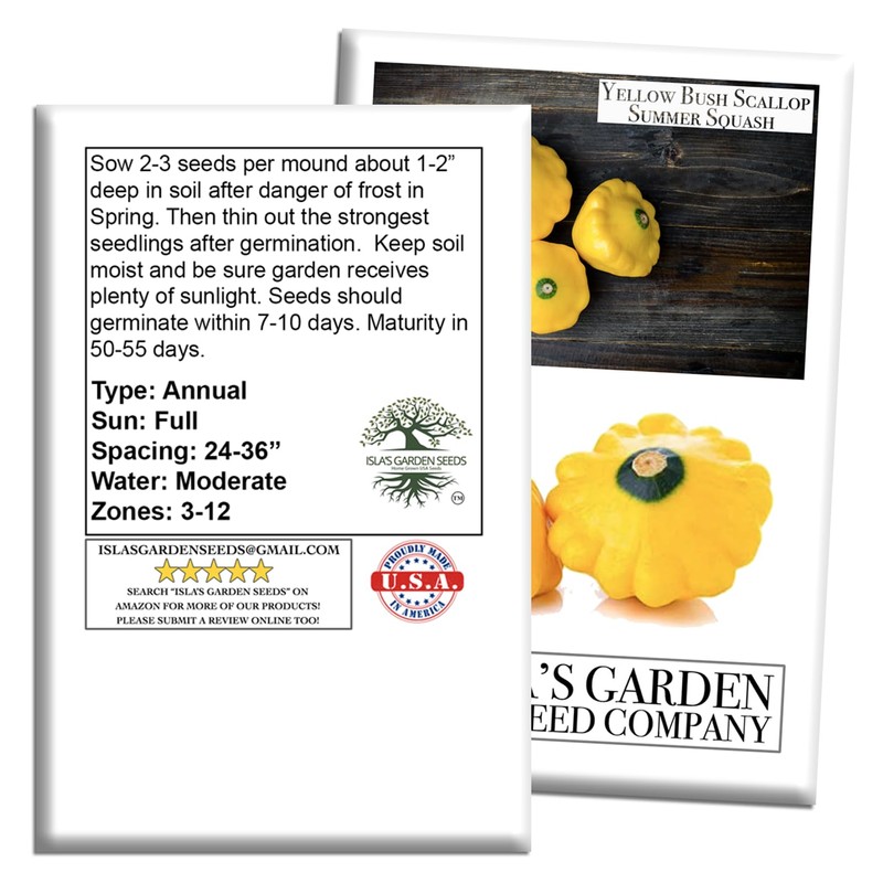 Yellow Bush Scallop Summer Squash Seeds (Pattypan, Cucurbita pepo var.
