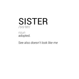 Funny Sister Definition Notebook: Blank Lined Journal (Best Sarcastic Gift): 6 x 9 inches // 120 Lined Blank Pages // College Ruled