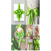 Double Faced Polyester Satin Ribbon, Flourscent Green -23 Metrs, Perfect