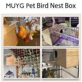 MUYG Natural Wood Bird Nesting Box,Acrylic Parakeet Nesting Box Transparent Cockatiel Nest House with Perch Wooden Parrot Nest for Lovebird Budgie Conure Canary Finch(Medium)