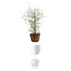 Eva Solo Self-Watering Flower and Herb Pots - Perfect for