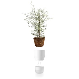 Eva Solo Self-Watering Flower and Herb Pots - Perfect for Indoor or Outdoor Planting (13cm Diameter, Chalk White)