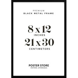 Poster Store 8x12 Black Metal Picture Frame