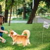 Zozen 50Pack White Marking Flags, Writable | 15x4x5 Inch, Yard