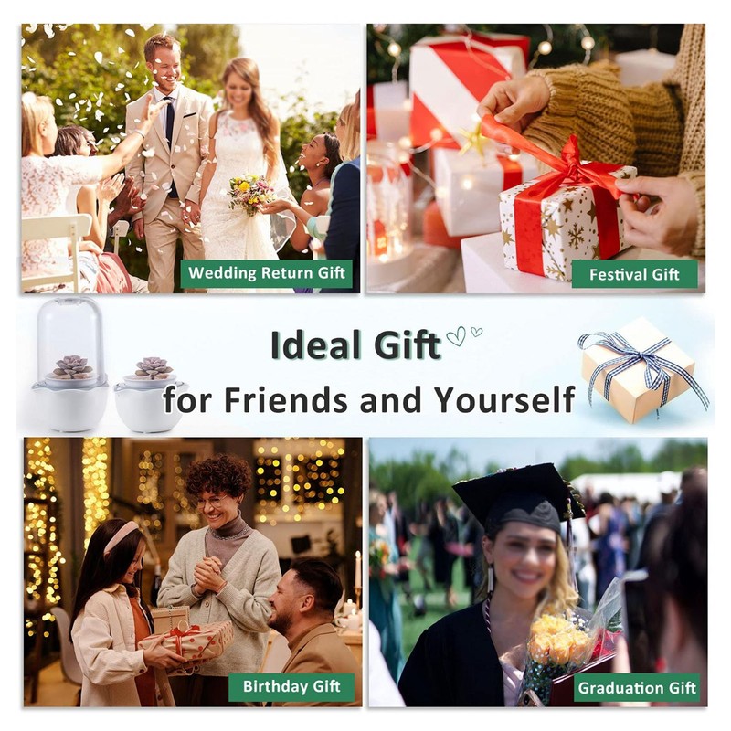 Smart Planter with Grow Light Indoor Minimalist Design LED Succulent