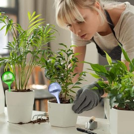 Aoreun Watering Balls for Plants, Pack of 6 Dosed Watering 27.5 x 8 cm Potted Plants Self-Watering Large Plants Watering Balls for Watering Aid Holiday Plant Watering