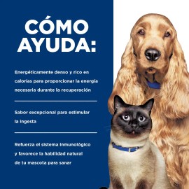 Hills A/d Perro/gato Recuperacion 24 Latas De 156g Original
