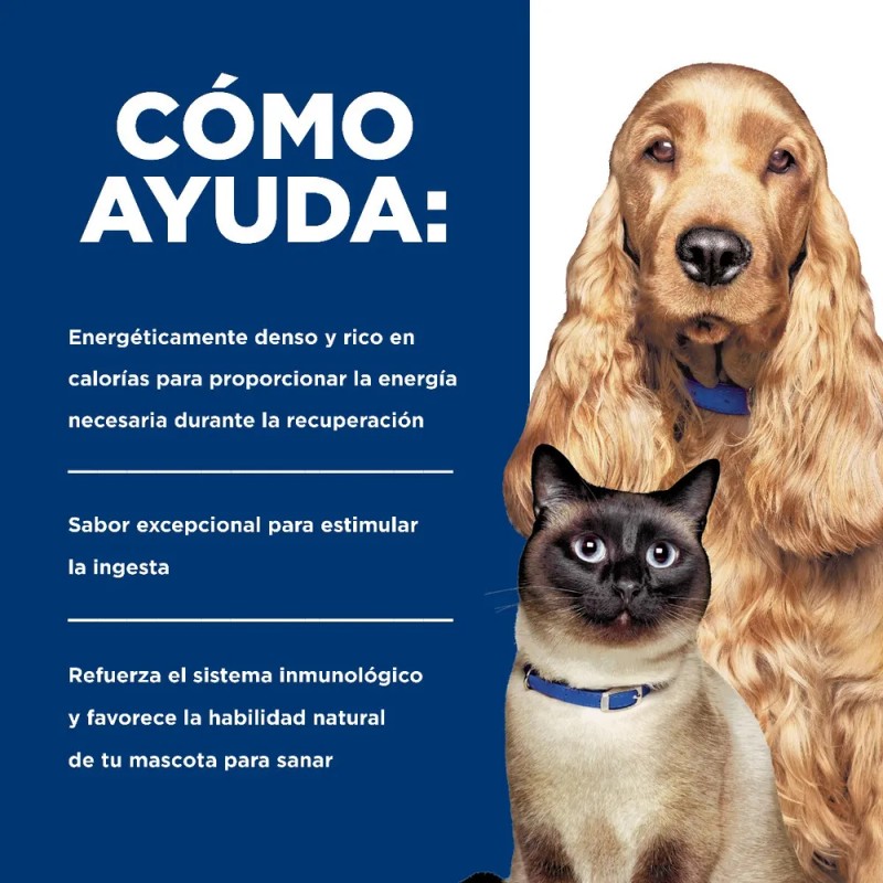 Hills A/d Perro/gato Recuperacion 24 Latas De 156g Original