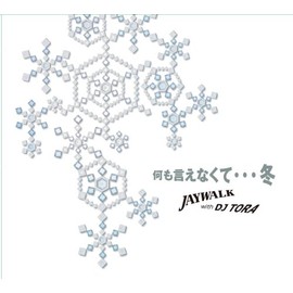 何も言えなくて・・・冬