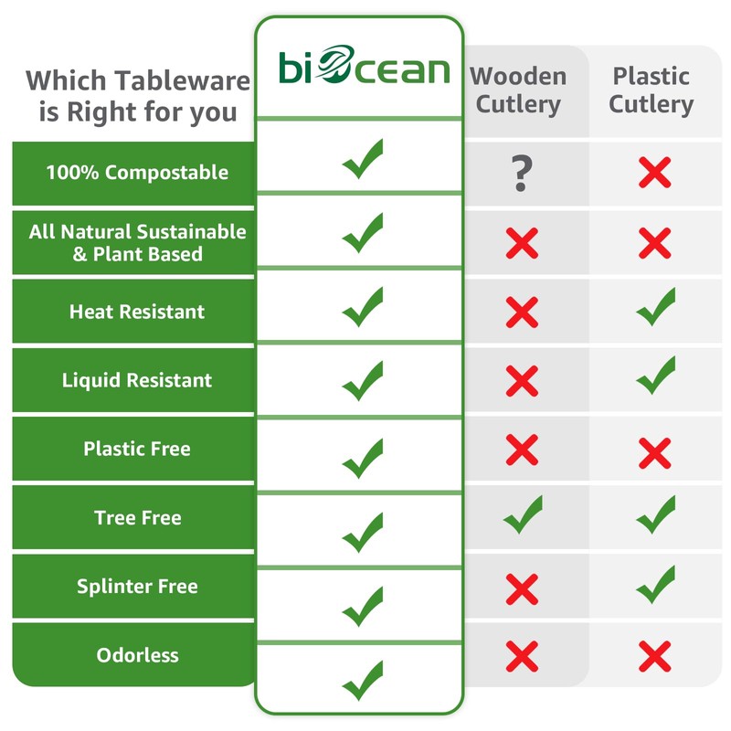 Biocean 100% Compostable Spoons 60 Count Disposable Soup Spoons Heavy