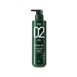 Amos Green Tea Real Hair Loss Shampoo for Oily 500g / 아모스 녹차실감 탈모 샴푸 지성 500g