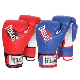 Everlast Champ Training Gloves Boxing / 에버라스트 챔프 트레이닝글러브 복싱 권투
