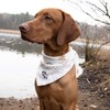 FELLSOCKE süßes Hundehalstuch Bandana waschbar aus Baumwolle (4-Friends, 90x58x58 cm)