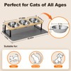 Elevated Cat Food Bowls with Mat Whisker Friendly, 15°Tilted Raised