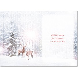 doodlecards Friend Christmas Card Deers in Forest Medium Size Christmas Card for Friend with Plain Envelope