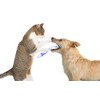 PET SUPPLEMENTS cat Gum Protection - Pets Teeth Health Complex